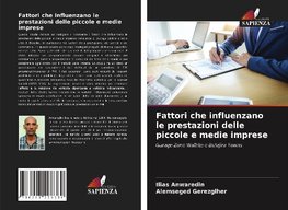 Fattori che influenzano le prestazioni delle piccole e medie imprese