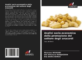 Analisi socio-economica della promozione del settore degli anacardi