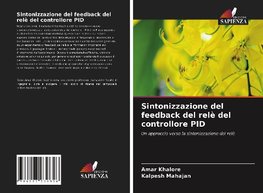 Sintonizzazione del feedback del relè del controllore PID