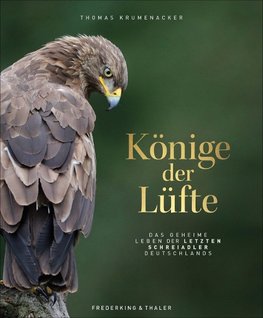 Könige der Lüfte