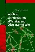 Intestinal Microorganisms of Termites and Other Invertebrates