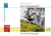 Die Wasseramsel - der tauchende Singvogel