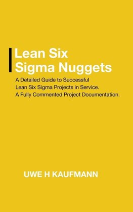 Lean Six Sigma Nuggets