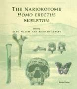 The Nariokotome Homo Erectus Skeleton