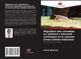 Migration des crevettes en utilisant l'intensité lumineuse et le courant d'eau comme inducteur