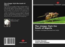 The vinegar flyIn the South of Algeria