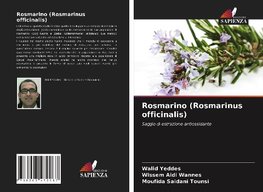 Rosmarino (Rosmarinus officinalis)