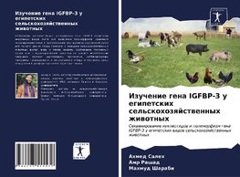 Izuchenie gena IGFBP-3 u egipetskih sel'skohozqjstwennyh zhiwotnyh