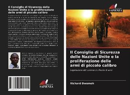 Il Consiglio di Sicurezza delle Nazioni Unite e la proliferazione delle armi di piccolo calibro