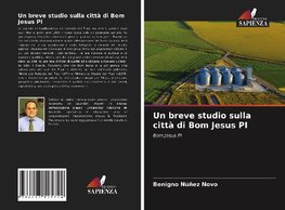 Un breve studio sulla città di Bom Jesus PI