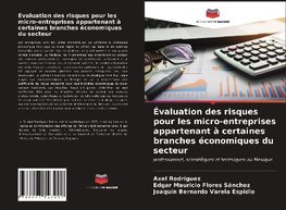 Évaluation des risques pour les micro-entreprises appartenant à certaines branches économiques du secteur