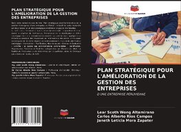 PLAN STRATÉGIQUE POUR L'AMÉLIORATION DE LA GESTION DES ENTREPRISES