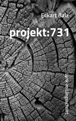 projekt: 731