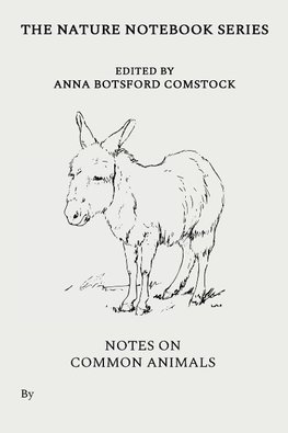 Notes on Common Animals