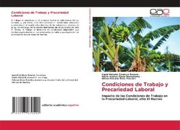 Condiciones de Trabajo y Precariedad Laboral