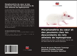 Morphométrie du coeur et des poumons chez les descendants de rats atteints de leptospirose