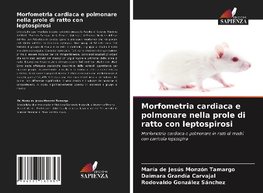 Morfometria cardiaca e polmonare nella prole di ratto con leptospirosi