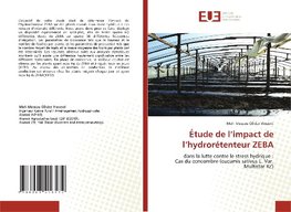 Étude de l'impact de l'hydrorétenteur ZEBA