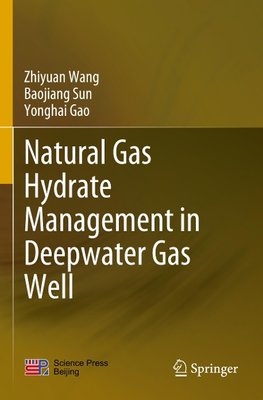 Natural Gas Hydrate Management in Deepwater Gas Well