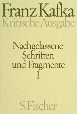 Nachgelassene Schriften und Fragmente I. Kritische Ausgabe