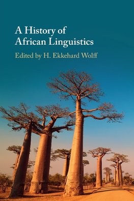 A History of African Linguistics