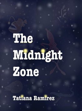 The Midnight Zone