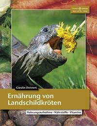 Ernährung von Landschildkröten