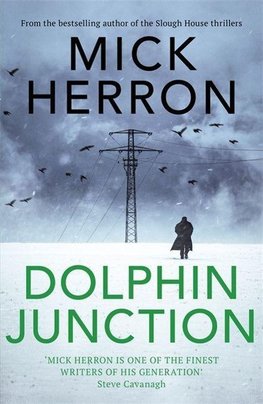 Dolphin Junction: Stories