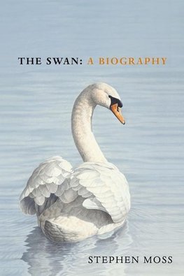 The Swan