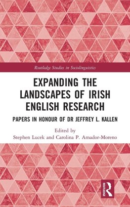 Expanding the Landscapes of Irish English Research