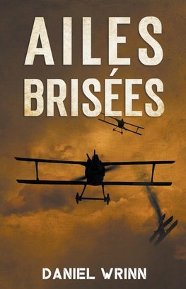 Ailes Brisées