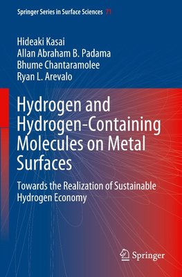 Hydrogen and Hydrogen-Containing Molecules on Metal Surfaces