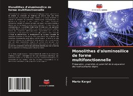 Monolithes d'aluminosilice de forme multifonctionnelle