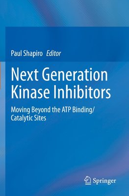 Next Generation Kinase Inhibitors