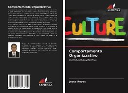 Comportamento Organizzativo