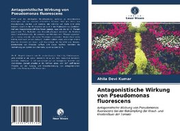 Antagonistische Wirkung von Pseudomonas fluorescens