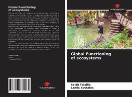 Global Functioning of ecosystems