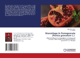 Marcottage in Pomegranate (Punica granatum L.)