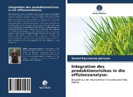 Integration des produktionsrisikos in die effizienzanalyse: