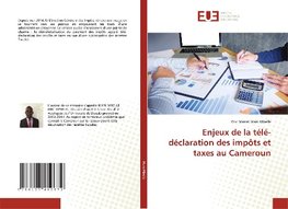 Enjeux de la télé-déclaration des impôts et taxes au Cameroun