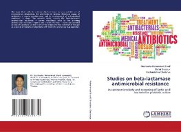 Studies on beta-lactamase antimicrobial resistance