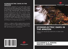 HYDROELECTRIC DAMS IN THE AMAZON: