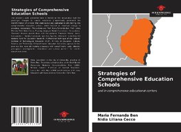 Strategies of Comprehensive Education Schools