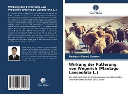 Wirkung der Fütterung von Wegerich (Plantago Lanceolata L.)