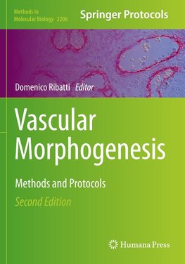 Vascular Morphogenesis