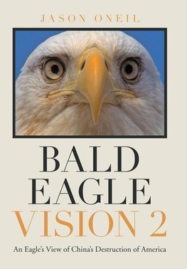 Bald Eagle Vision 2