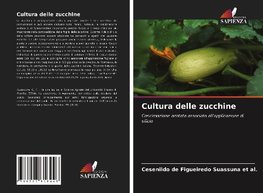 Cultura delle zucchine