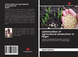 optimization of agricultural production in Niger