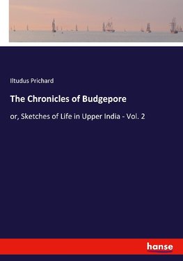 The Chronicles of Budgepore