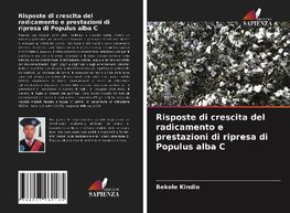 Risposte di crescita del radicamento e prestazioni di ripresa di Populus alba C